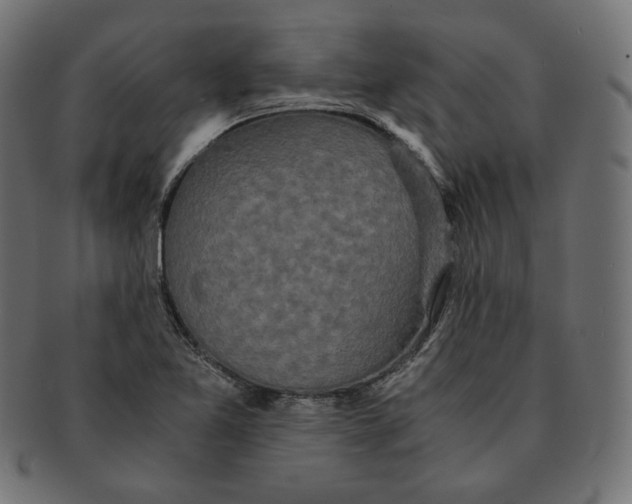 X0000091681365200709201230