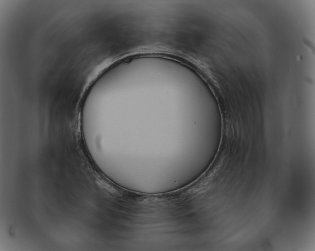 X0000091681366200709201230