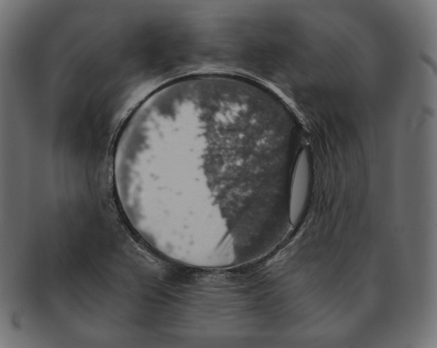 X0000091681367200709201230