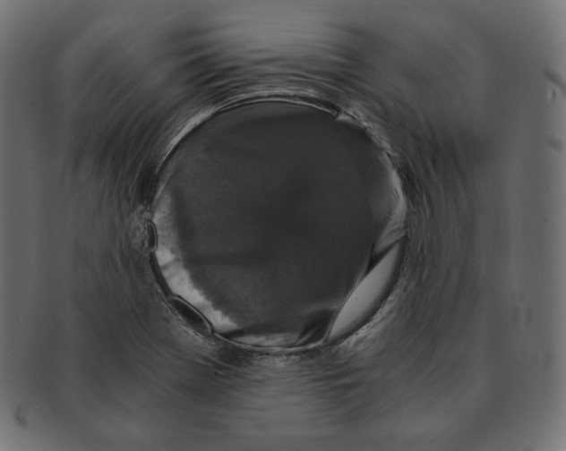 X0000091681369200709201230