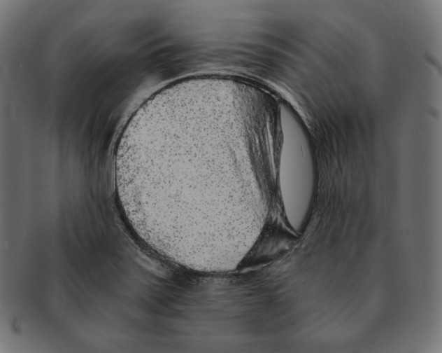 X0000091681371200709201230