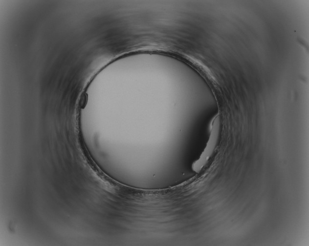 X0000091681375200709201230