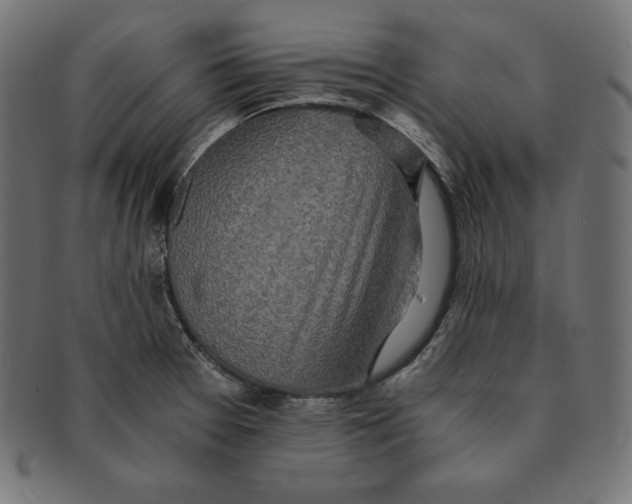 X0000091681377200709201230