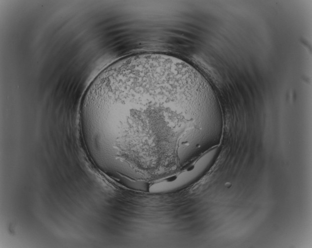 X0000091681378200709201230