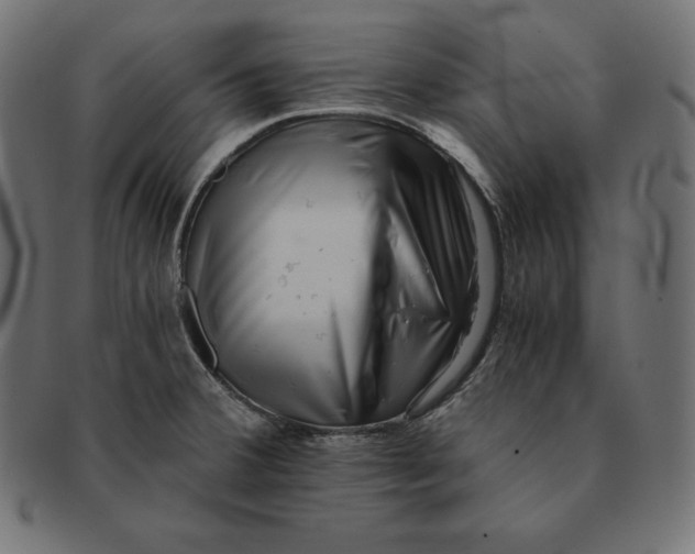 X0000091681380200709201230