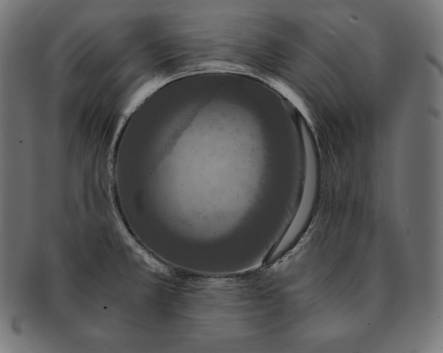 X0000091681381200709201230