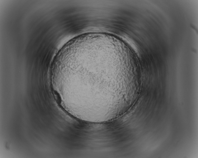 X0000091681382200709201230