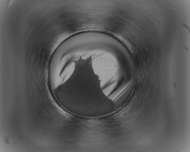 X0000091681383200709201230