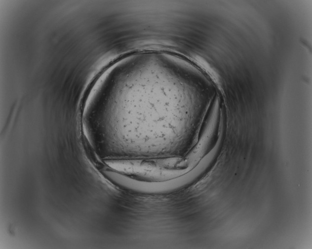 X0000091681384200709201230