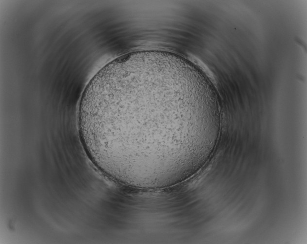 X0000091681386200709201230