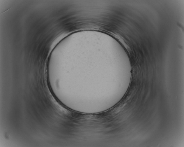 X0000091681387200709201230