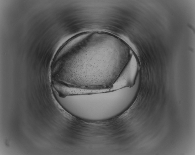 X0000091681388200709201230