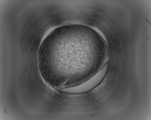 X0000091681389200709201230