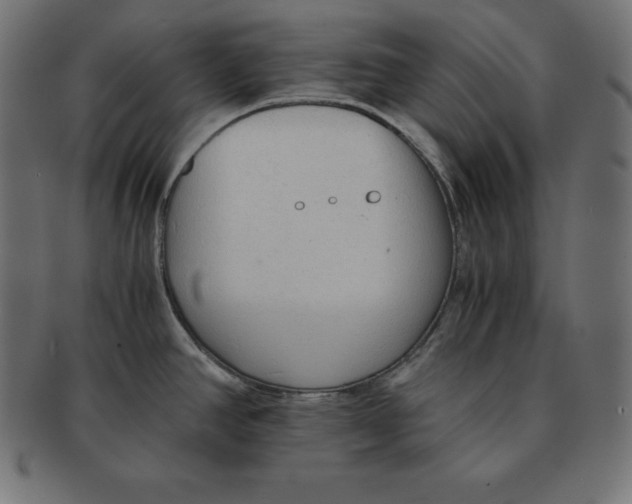 X0000091681390200709201230