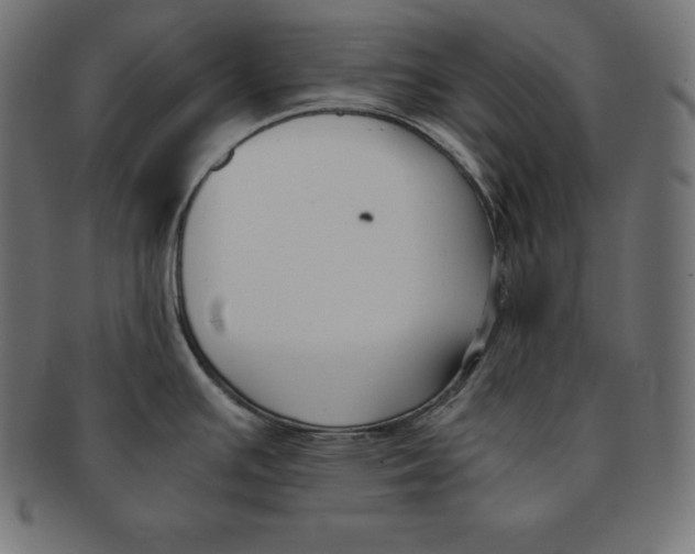 X0000091681391200709201230