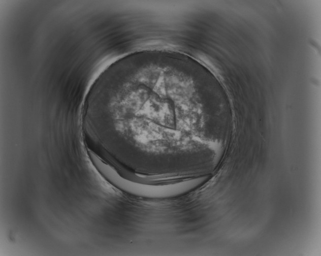 X0000091681392200709201230