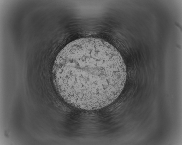 X0000091681393200709201229