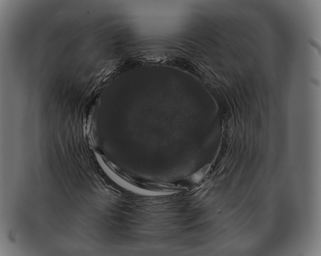 X0000091681394200709201229