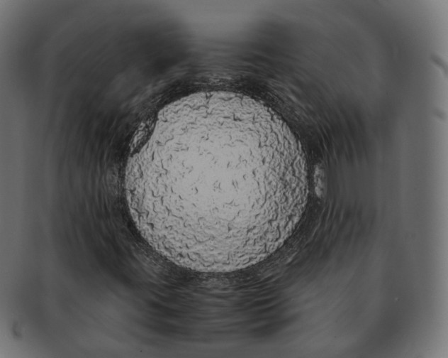 X0000091681395200709201229