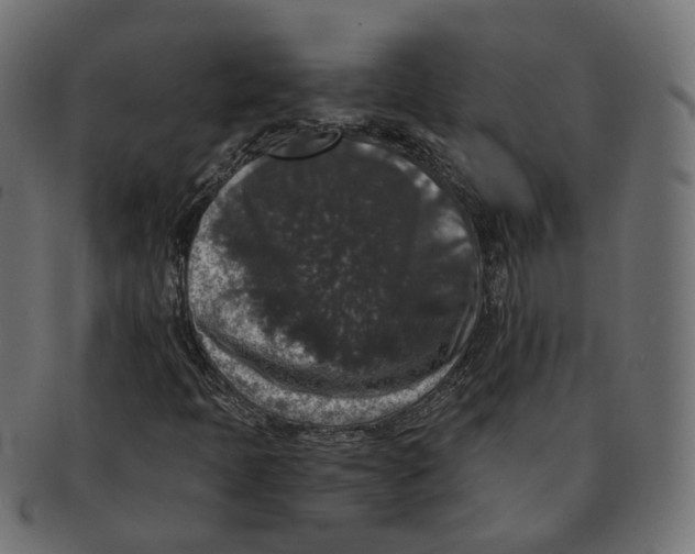 X0000091681397200709201229