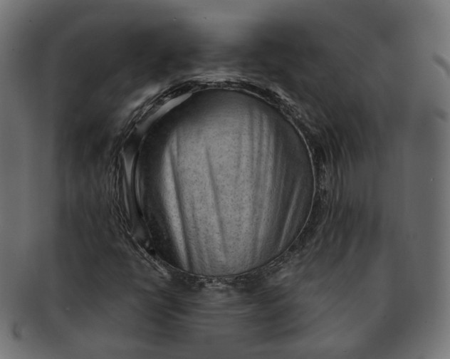 X0000091681398200709201229