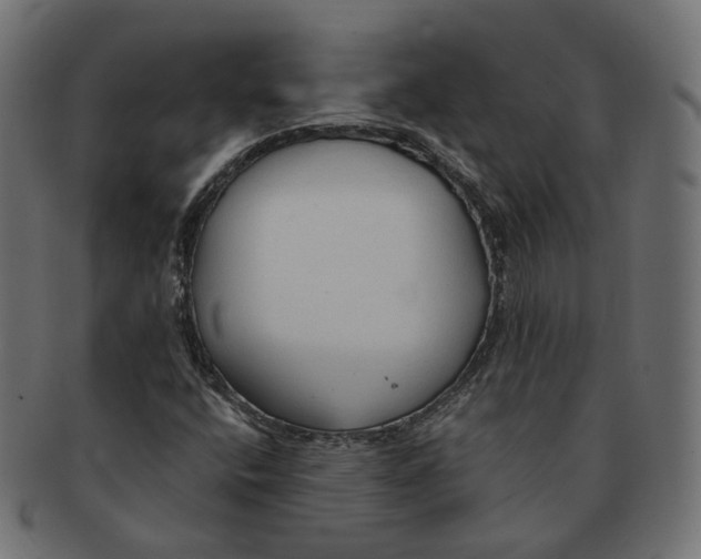 X0000091681400200709201229