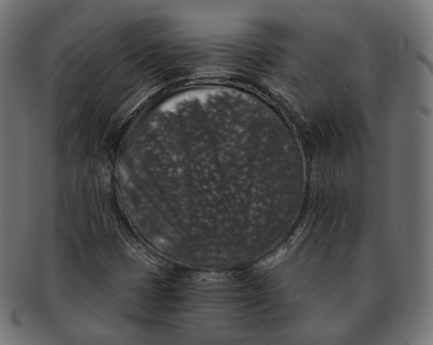 X0000091681401200709201229