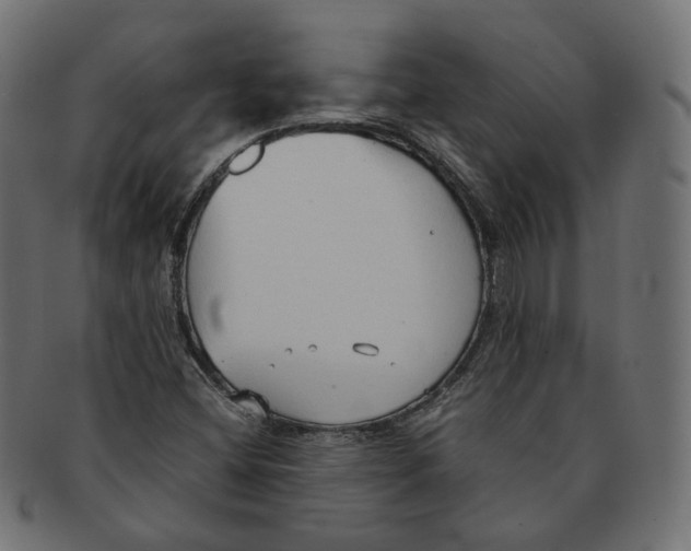 X0000091681404200709201229