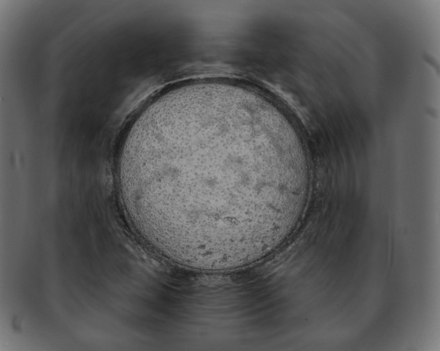 X0000091681407200709201230