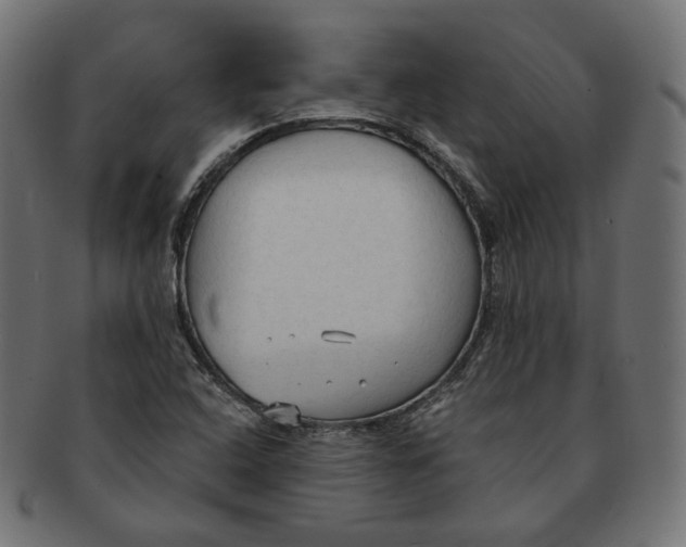 X0000091681408200709201230