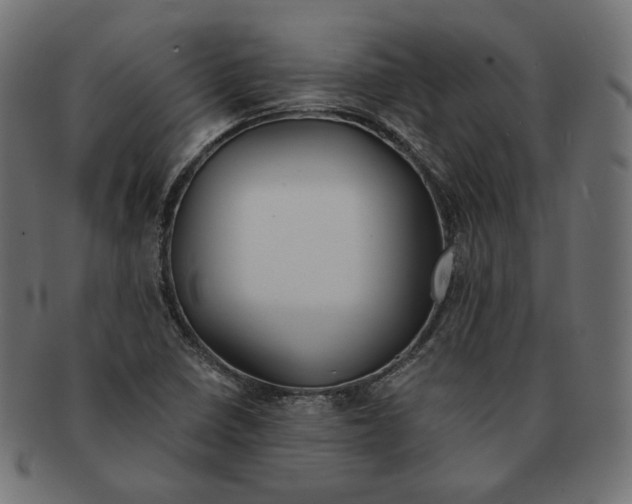 X0000091681410200709201230