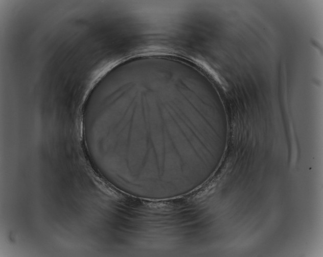 X0000091681413200709201230