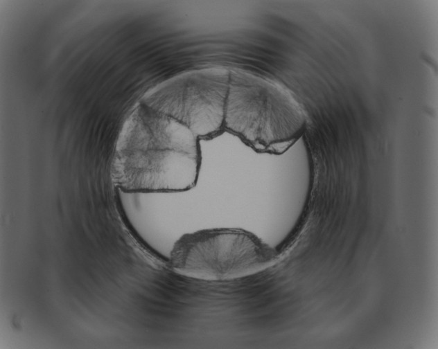 X0000091681417200709201230