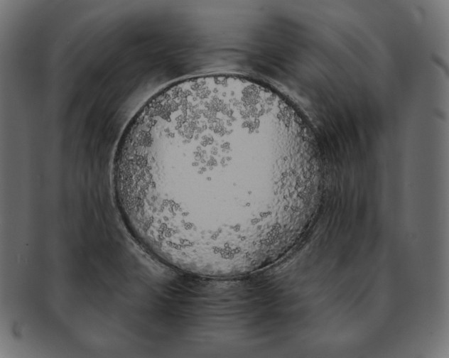 X0000091681423200709201230