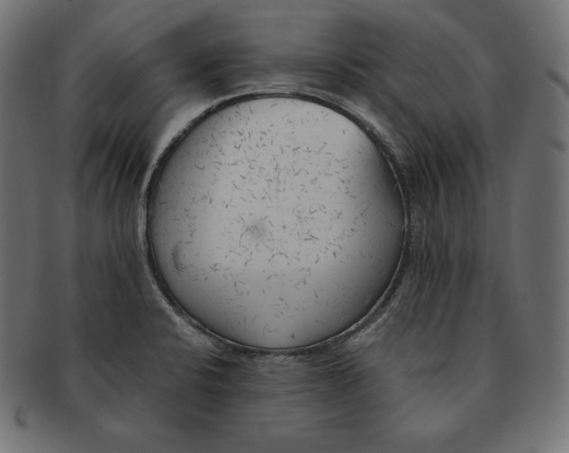 X0000091681424200709201230