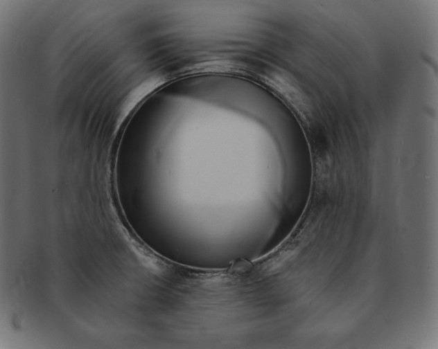 X0000091681426200709201230