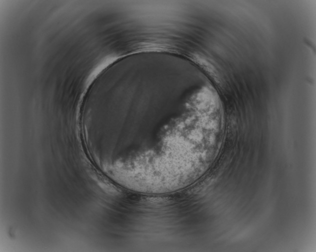 X0000091681427200709201230