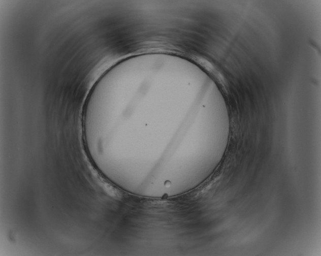 X0000091681431200709201230