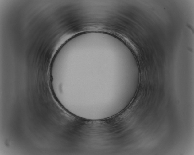 X0000091681432200709201230