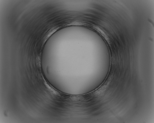 X0000091681433200709201230