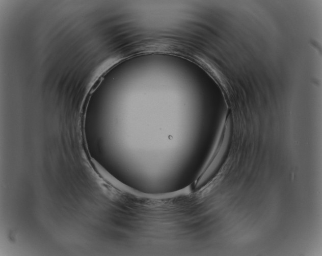 X0000091681434200709201230