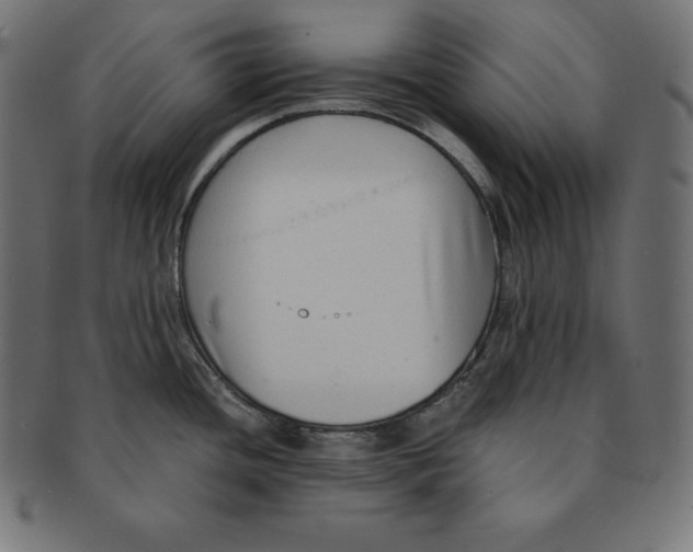 X0000091681436200709201230