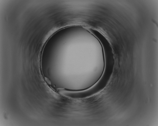 X0000091681438200709201230