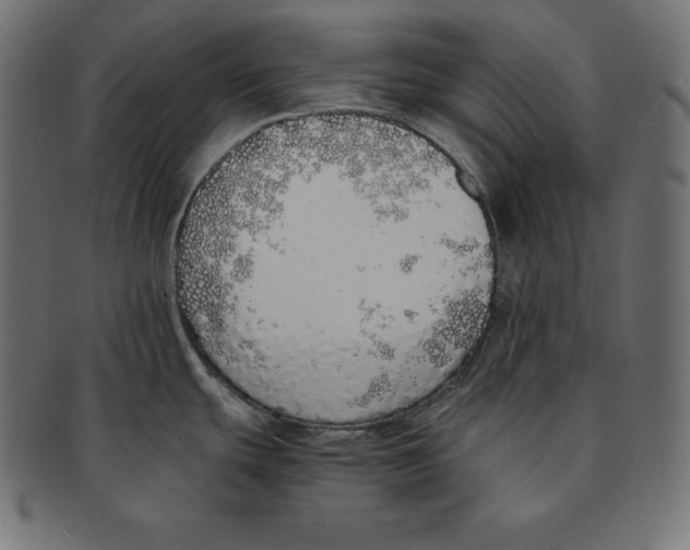 X0000091681439200709201230