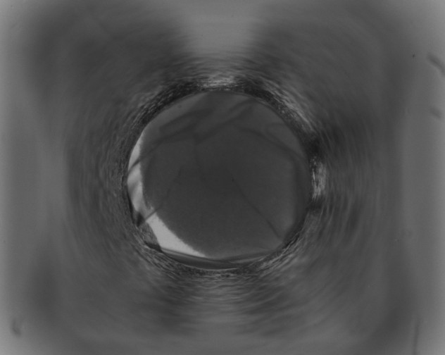 X0000091681441200709201229