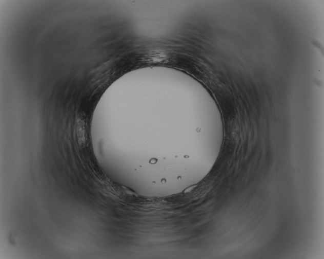 X0000091681442200709201229