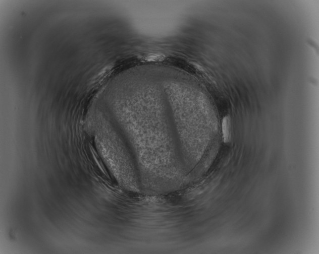 X0000091681443200709201229