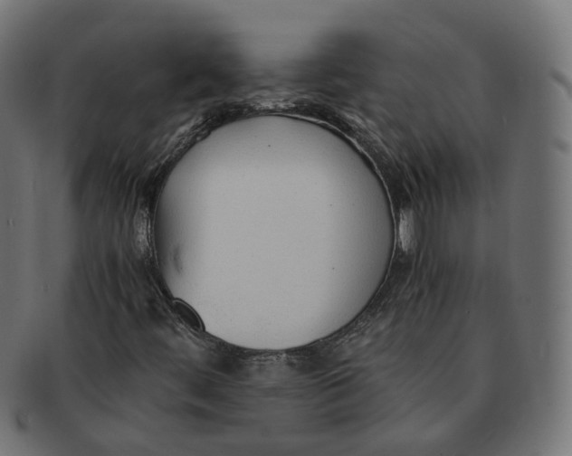 X0000091681444200709201229