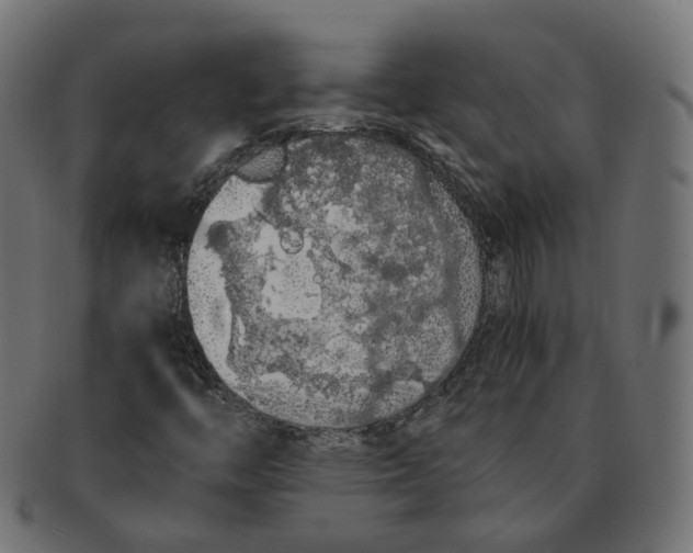 X0000091681446200709201229