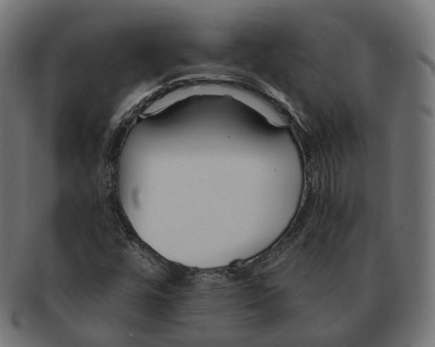 X0000091681448200709201229